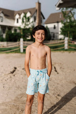 Load image into Gallery viewer, Boy Shorts in Beach Ball
