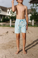 Load image into Gallery viewer, Boy Shorts in Beach Ball
